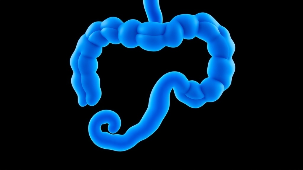 Boy, 5, Survives 9 Goodbyes Before Life-Saving Triple Transplant