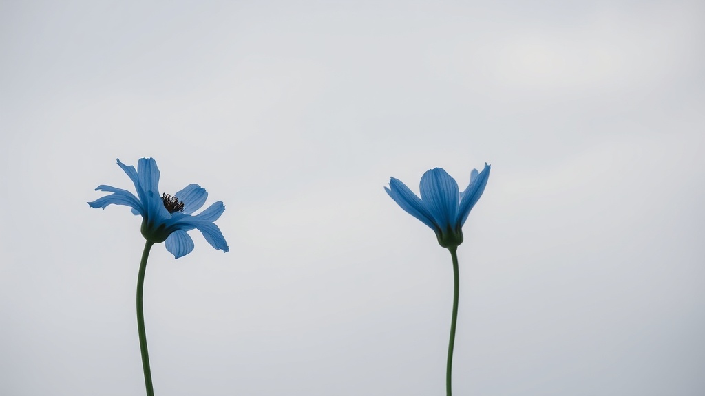 Reba McEntire's Family Faces Double Heartbreak