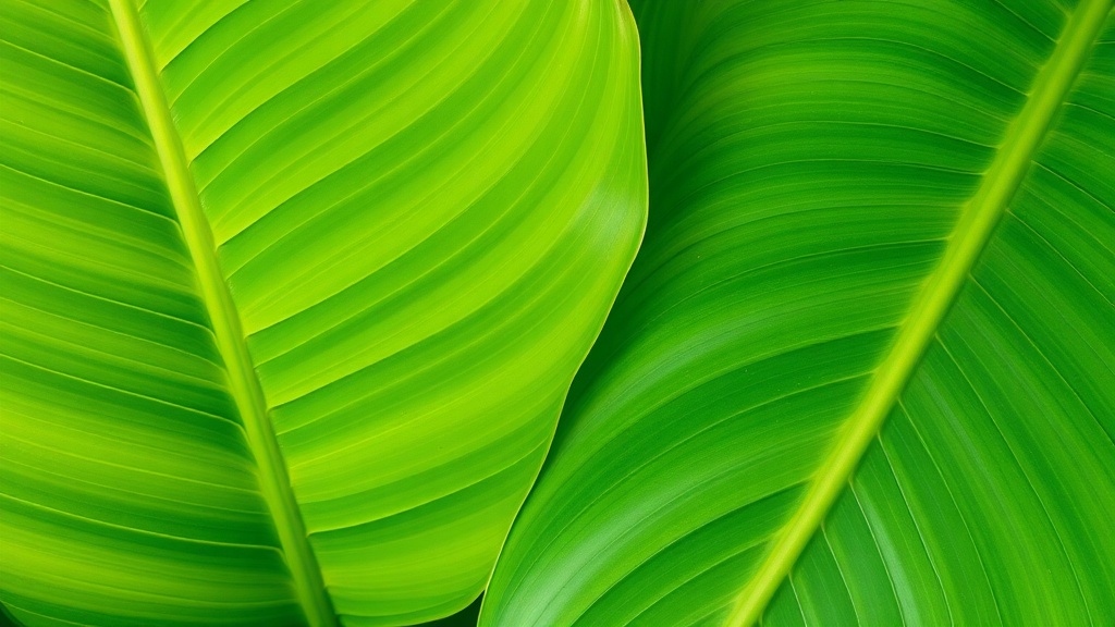 Soha Ali Khan's Intense Workout: Beyond Survival Training